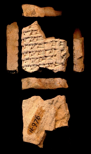 N976