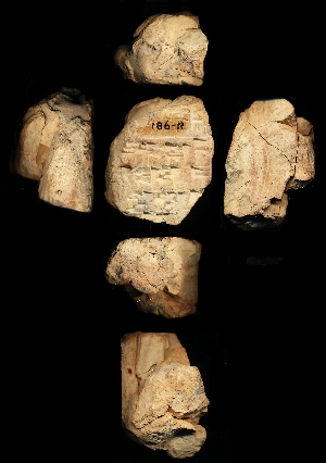 N981