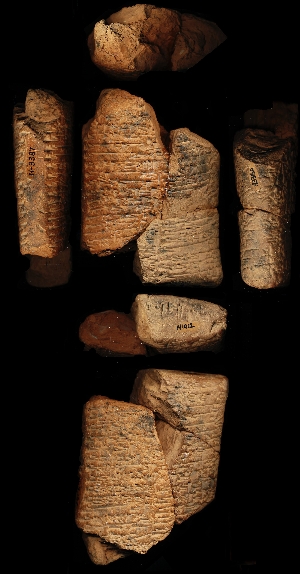 N1012