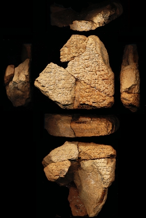 N1379