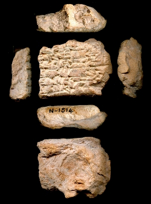 N1514