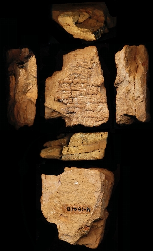 N1541b