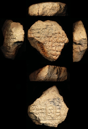 N1557