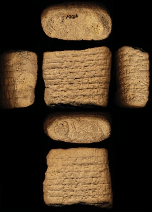 N1567