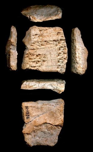 N1576