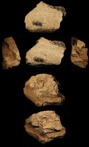 N1628