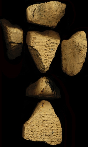 N1797