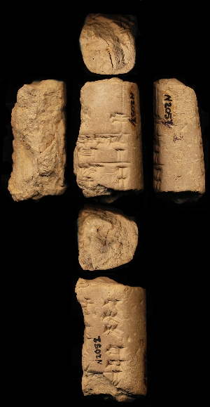 N2052