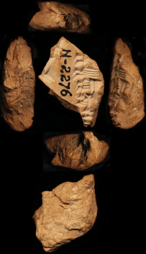 N2276