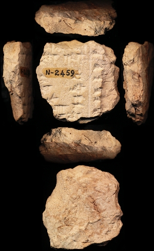 N2459