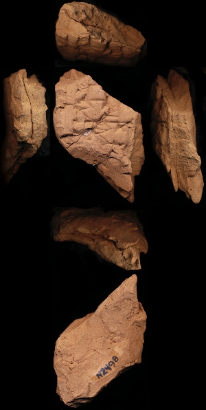 N2498