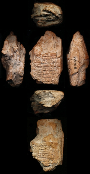 N3078