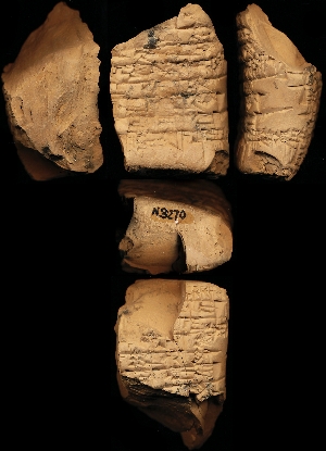 N3270