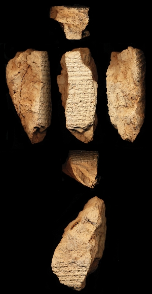 N3321