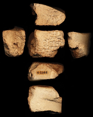 N3366