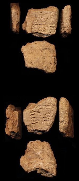 N3585