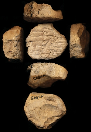 N3595