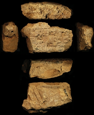 N3702