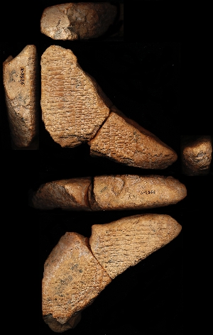 N3986