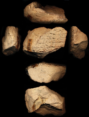 N3996