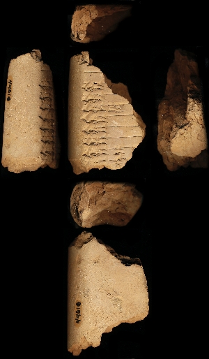 N4010