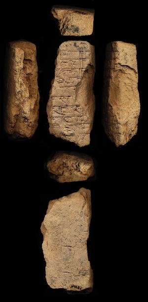 N4021