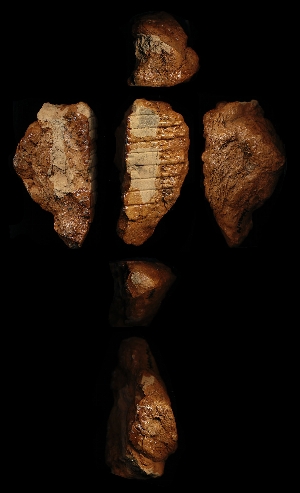N4044