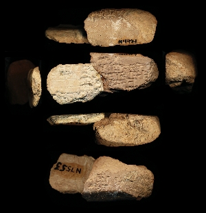 N4474
