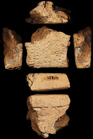 N4539
