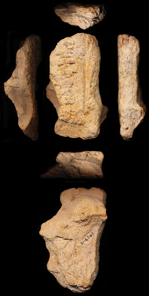 N4541