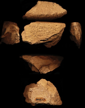 N4547