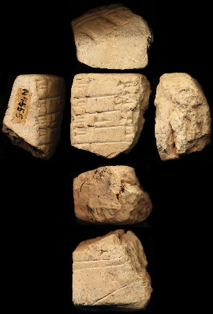 N4555