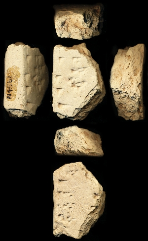 N4561