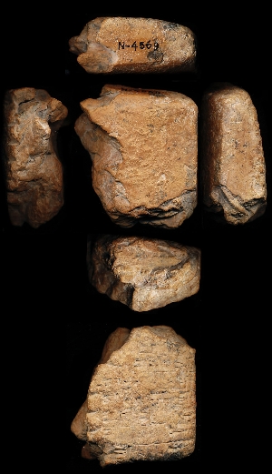 N4569