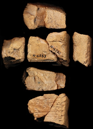 N4583