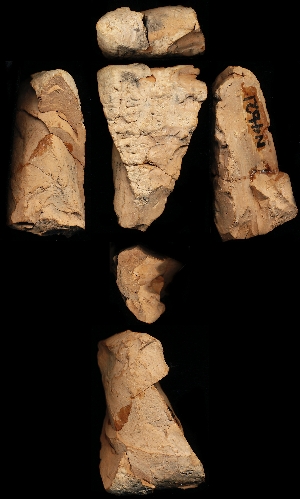 N4621