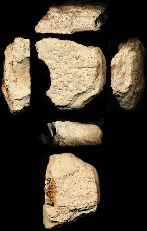 N4647