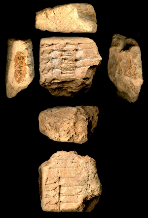 N4659
