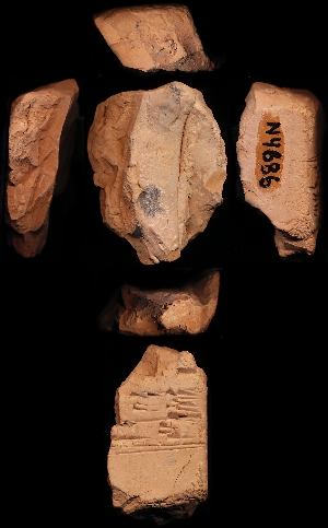 N4686