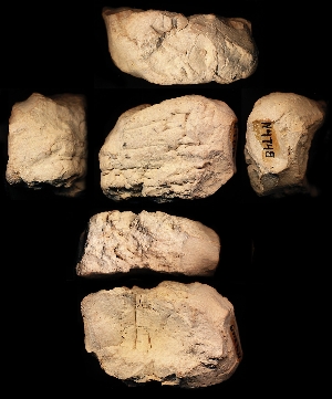 N4748