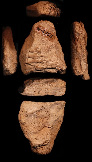 N4755