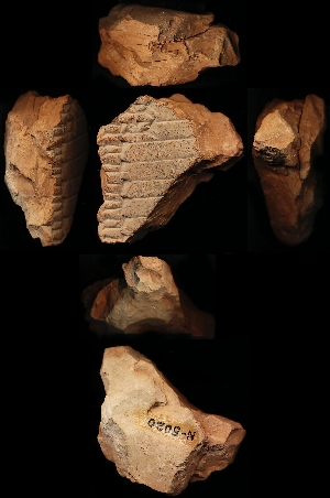 N5020
