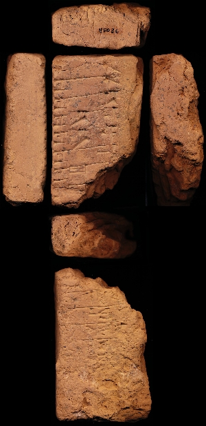 N5036