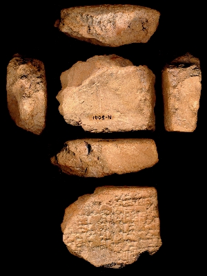 N5041