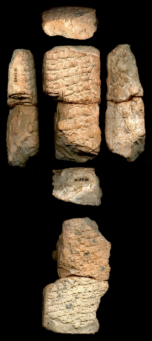 N5053
