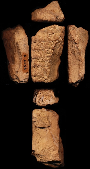 N5094