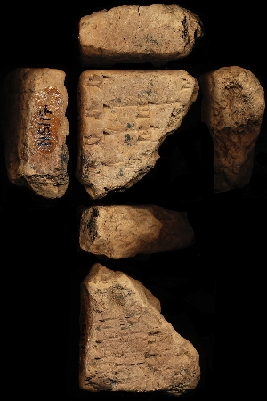 N5117