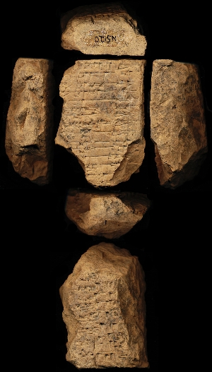 N5120