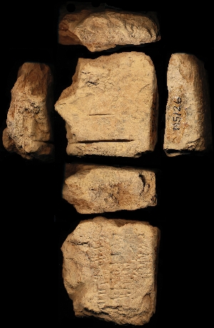 N5126
