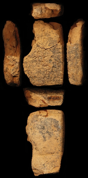 N5155